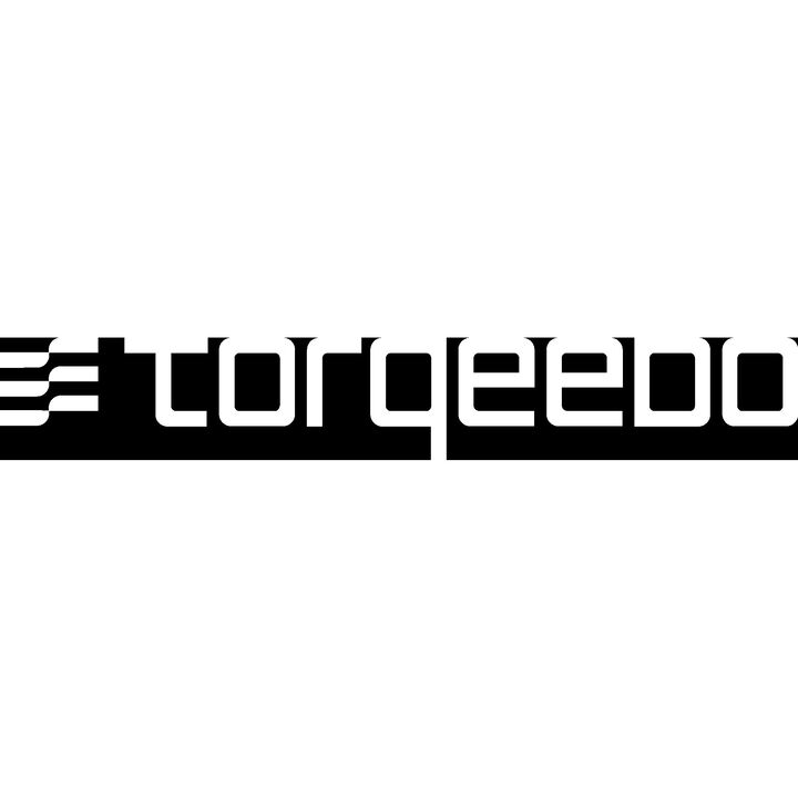 Torqeedo Logo Plot white 35 cm