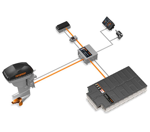 High-performance lithium battery with battery management system