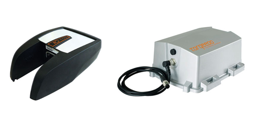 Torqeedo battery